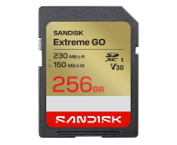 Sandisk 256GB SDXC Extreme Go UHS-I 230/150 MB/s - 1549230 - zdjęcie 1